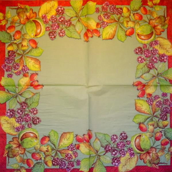 037 Berry - 3-ply (grün)